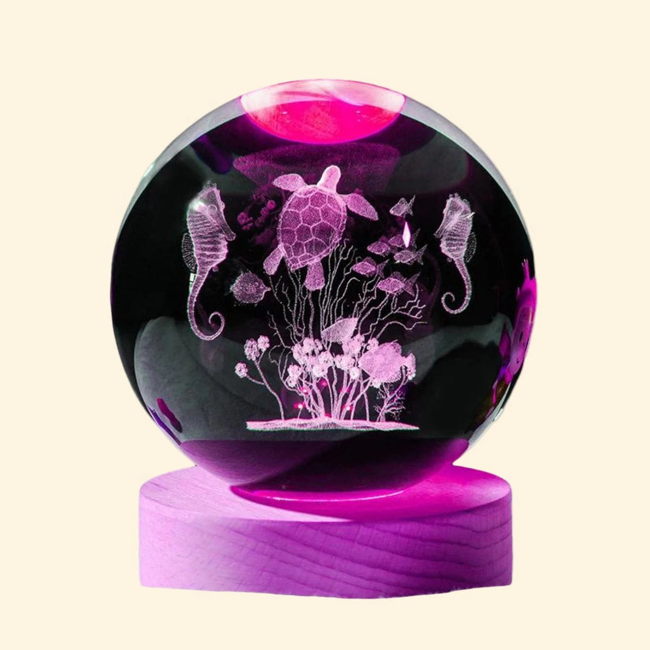  Tortue Veilleuse Ocean