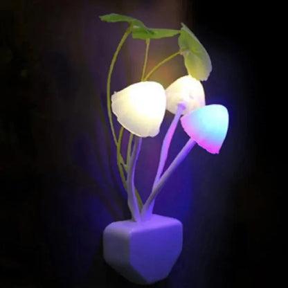 Veilleuse Champignon à Brancher